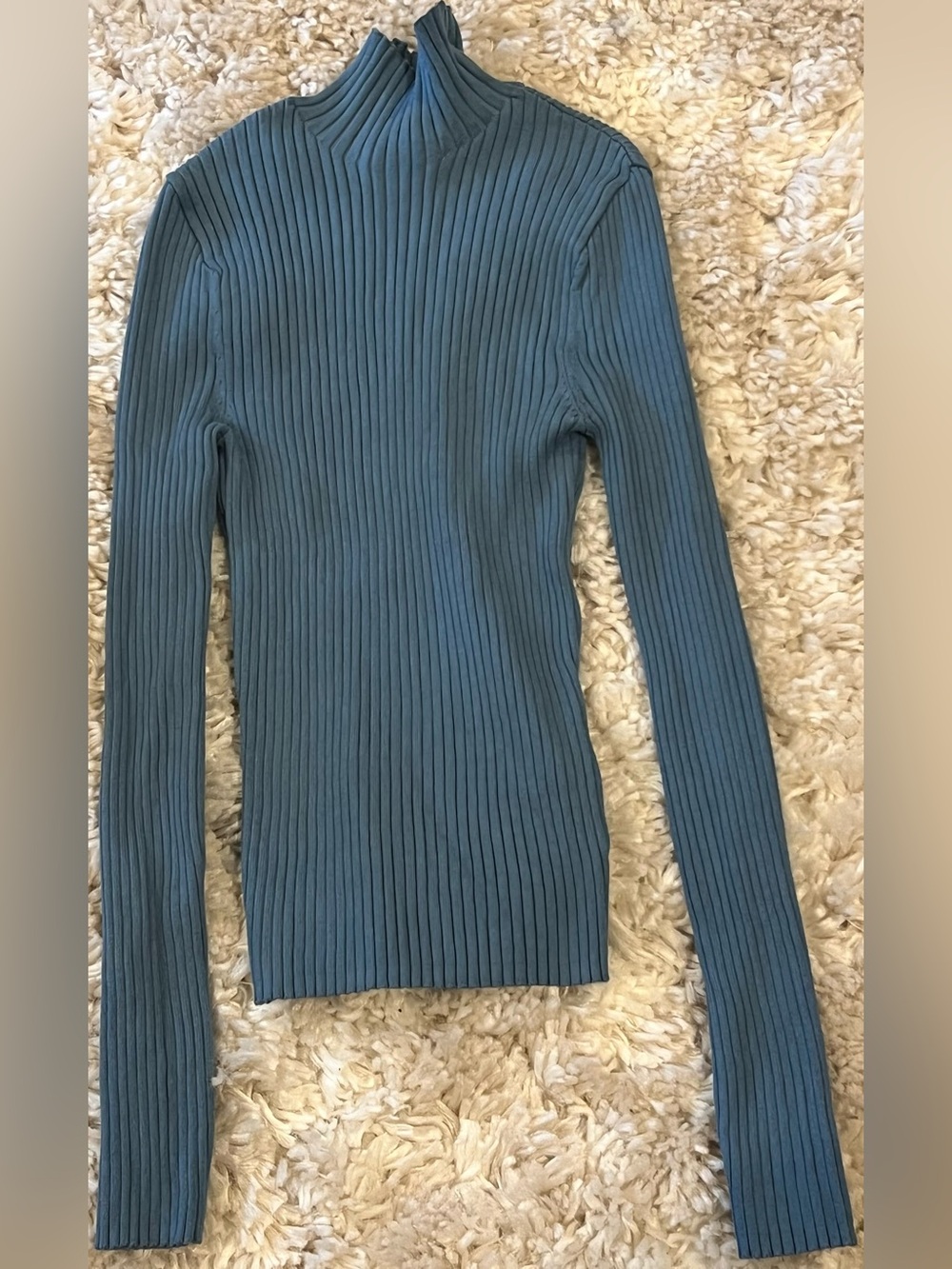 Zara Ribbed Long Sleeve Mock Neck Top in Teal Size S